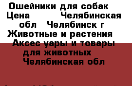 Ошейники для собак  › Цена ­ 300 - Челябинская обл., Челябинск г. Животные и растения » Аксесcуары и товары для животных   . Челябинская обл.